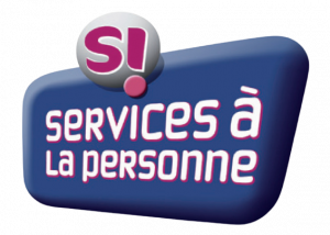 DS2P_elements_graphique_SAP-removebg-preview-300x234